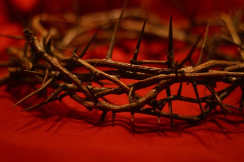 crownthorns2