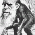 darwin